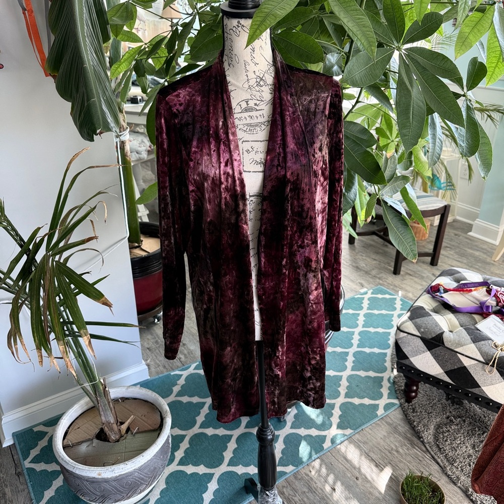 Susan Graver Velvet Blazer in Rich Burgundy